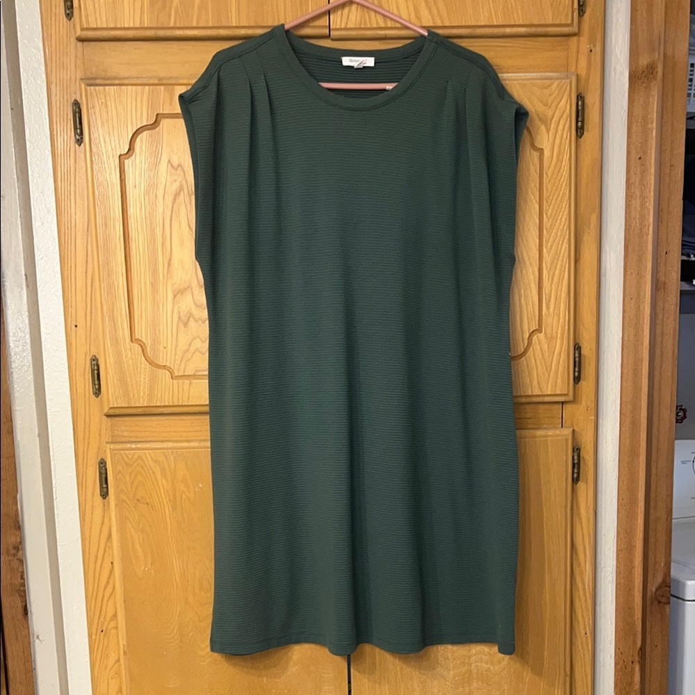 Skinnygirl Green Sleeveless Tunic Top